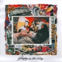 Friday Pilots Club - Sleeping On The Ceiling