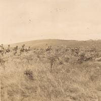 a terra vai se tornar um planeta inabit&aacute;vel - A Odisseia de 80 Dias