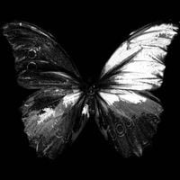Blacklit Canopy - The Patient Demos