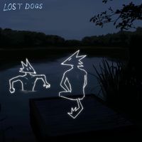 Keep it Together - Lost Dogs