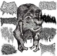 Various Artists - Aborted Anomalies 8 Way Split