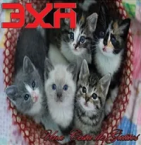 3XA - Una cesta de gatitos
