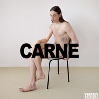 Karakaz - Carne