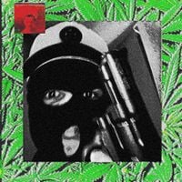Sex Havers - THE THIRD WEED APPARATUS: THE LINEAGE CONTINUES