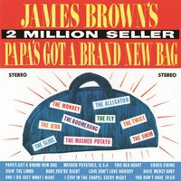 James Brown - Papa's Got A Brand New Bag