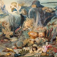 Chypho - Episodes in Oceanography, Vol. 2