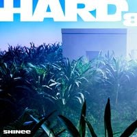 SHINee - The Feeling