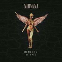 Nirvana - In Utero (2013 Steve Albini Mix)
