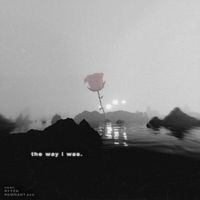 vowl. - The Way I Was