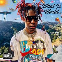 Mak Sauce - What is World