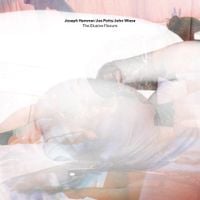 John Wiese, Joseph Hammer & Joe Potts - The Elusive Flexure