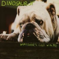 Dinosaur Jr. - Whatever's Cool with Me