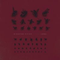 Disaster Cities - Lowa