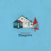 Pinegrove - Morningtime (Amperland, NY)