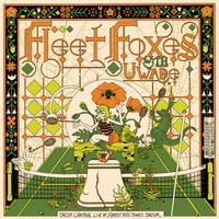 Fleet Foxes - Under Control (Live at Forest Hills Stadium)