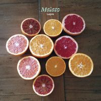 Lepre - Malato
