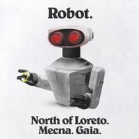 North Of Loreto - Robot