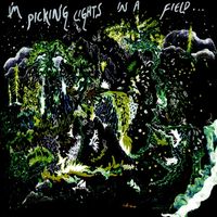 Lanayah - I'm Picking Lights in a Field...