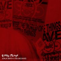 Jorja Smith - Little Things (Nia Archives Remix)
