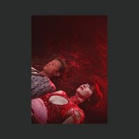 Yeah Yeah Yeahs - Spitting Off the Edge of the World (Lush Version)