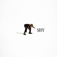 K.Flay - Shy