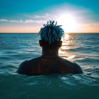 Ocean Kelly - my dolphin has a virus