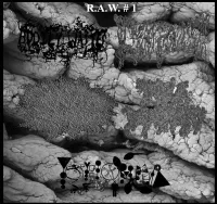 Bodily Wastes / Lymphoma / Triple Dewormint / Phyllomedusa / Anal Bag - R.A.W. #1 Gorenoise 5-Way Split