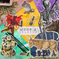 Mundial - Culacchi