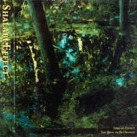 Shalabi Effect - The Trial of St. Orange