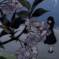 Shady Moon - Cherry Blossoms