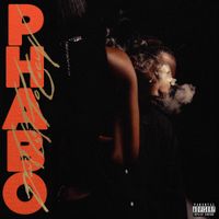 PHABO - Don't Get Too Cozy