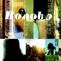 Bonobo - Animal Magic