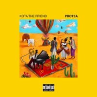 Kota the Friend - Protea