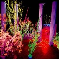 Hüsker Dü - Warehouse: Songs and Stories