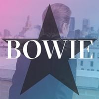 David Bowie - No Plan