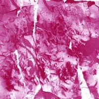 Planning For Burial - Sorry For Your Loss