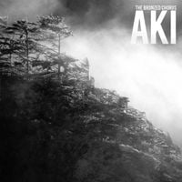 The Bronzed Chorus - Aki