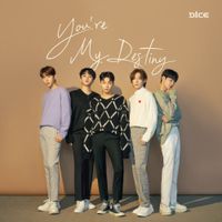 D1CE - You're My Destiny
