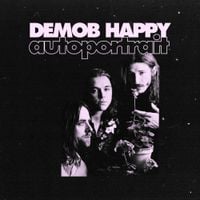 Demob Happy - Autoportrait