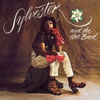 Sylvester - Sylvester and the Hot Band