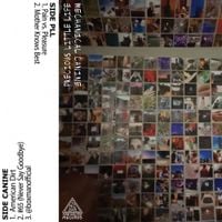 Mechanical Canine & Precious Little Life - Split