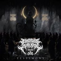Errors Of Humanity - Testimony