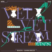 Bokoya - The Velvet Stream