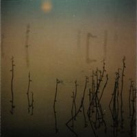 Tenhi - Hallavedet