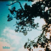 Bibio - fi