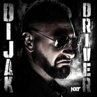 def rebel - Driver (Dijak)