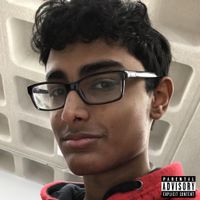 Lil Meerkat - Greatest Hits