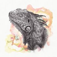 Great Dane - Epsilon Iguana