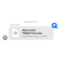 MC Virgins - BALLS OUT FREESTYLE