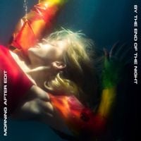 Ellie Goulding - By the End of the Night (Morning After Edit)